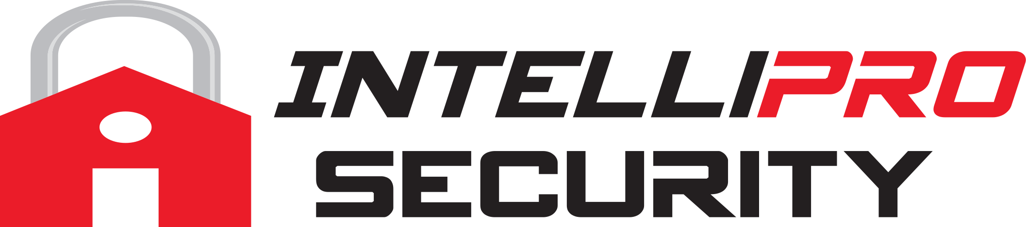Intellipro Security image 2